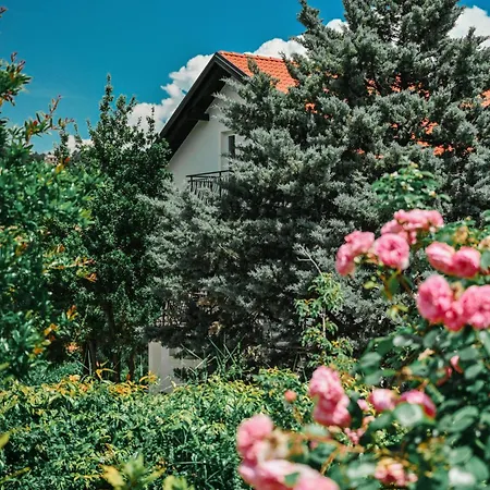 Petra Hills Majestic