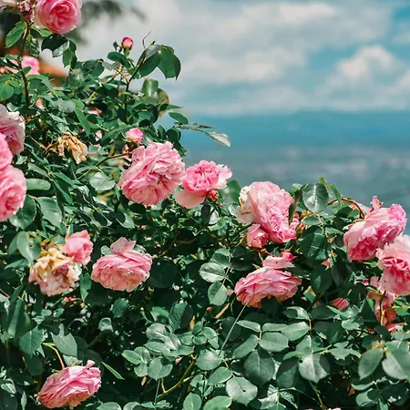 Petra Hills Majestic Apartamento Opatija