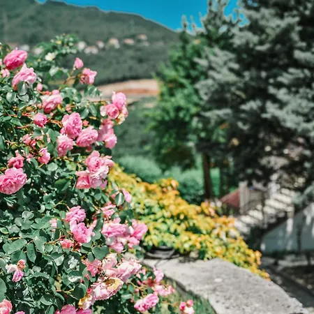 Petra Hills Majestic Appartamento *