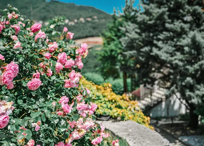 Petra Hills Majestic Apartment *