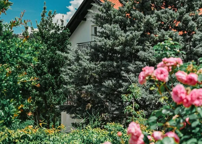 Petra Hills Majestic